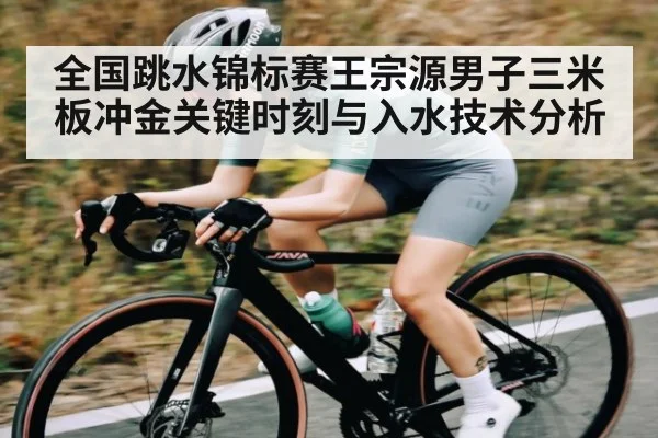 全国跳水锦标赛王宗源男子三米板冲金关键时刻与入水技术分析